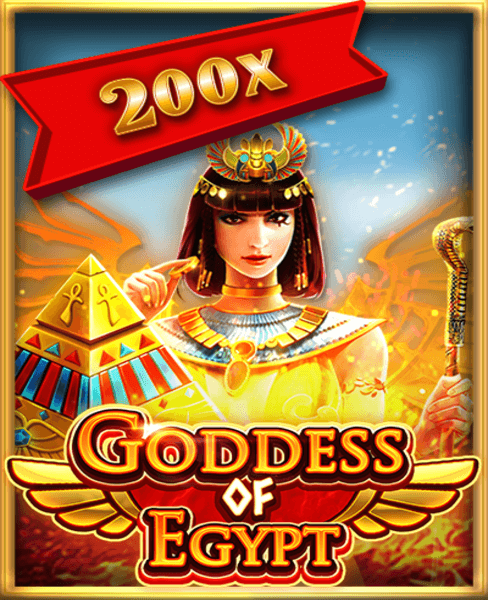 Unleash Your Luck at LiveCasino Royale\